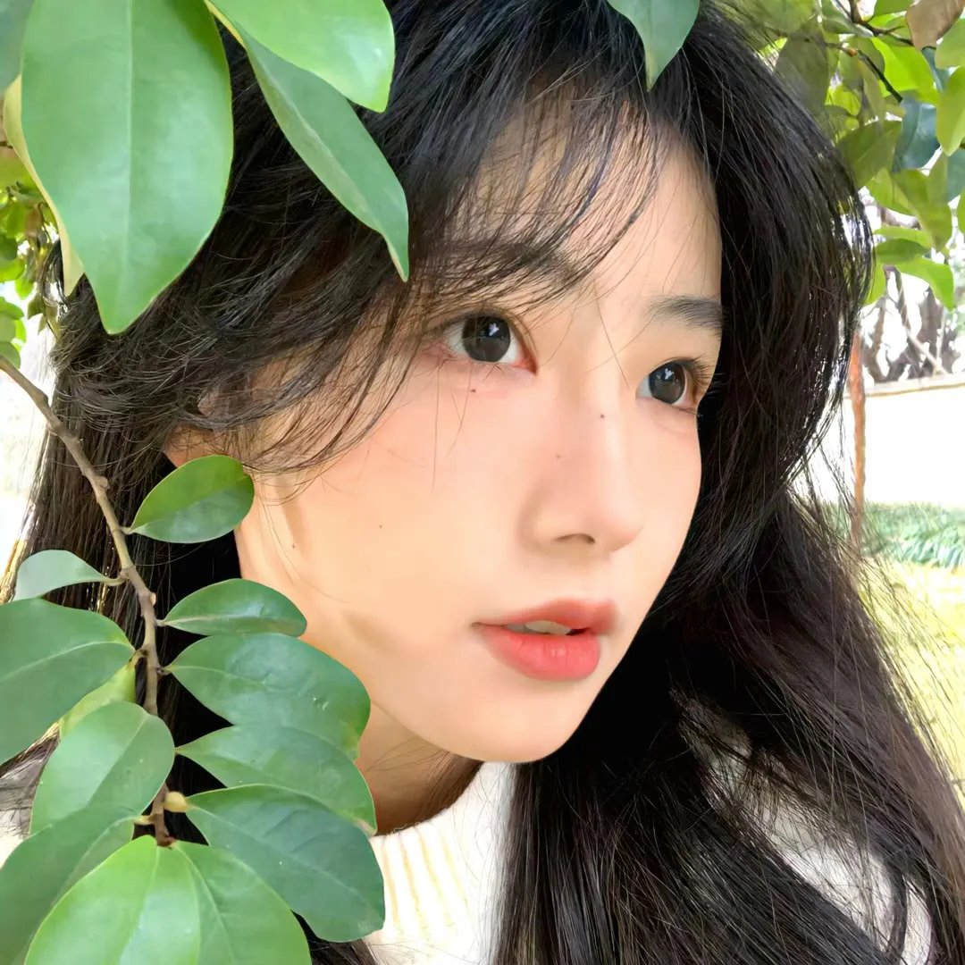 约翰老鼠
